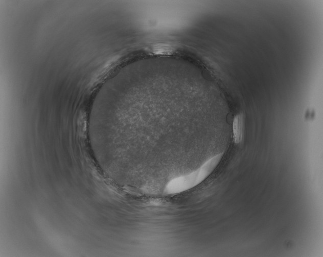 X0000110701443200907101209