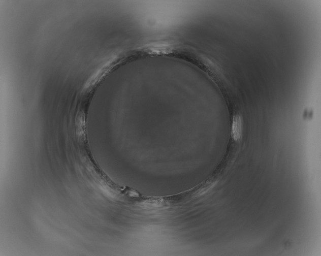 X0000110701444200907101209