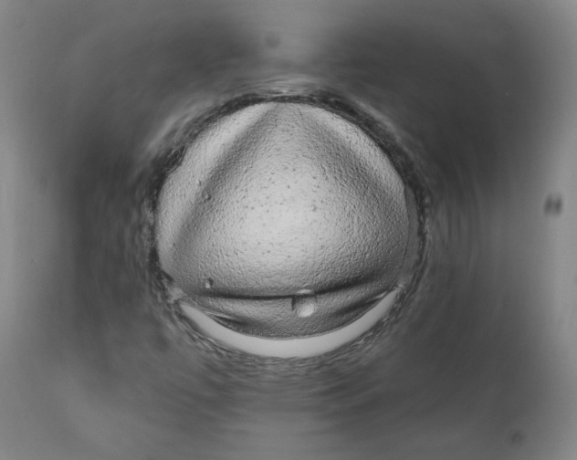 X0000110701447200907101209