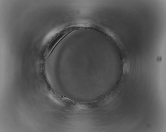 X0000110701448200907101209