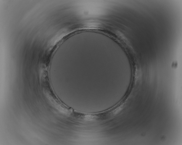 X0000110701449200907101209