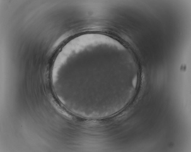 X0000110701450200907101209
