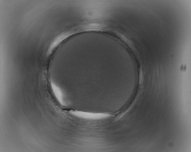 X0000110701453200907101209