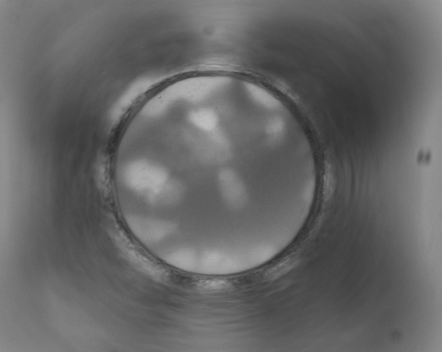 X0000110701454200907101209