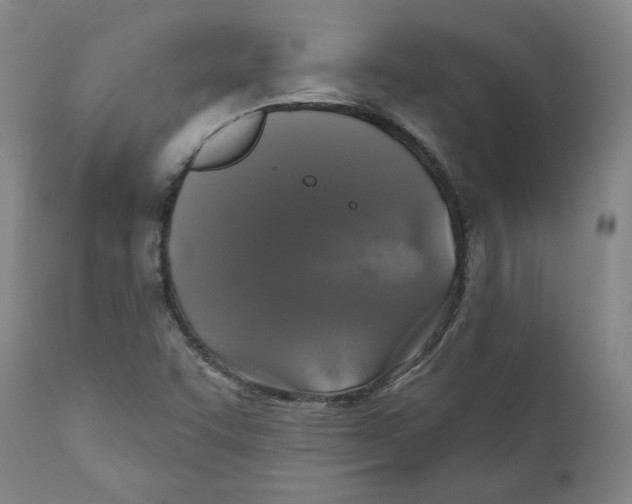 X0000110701455200907101209