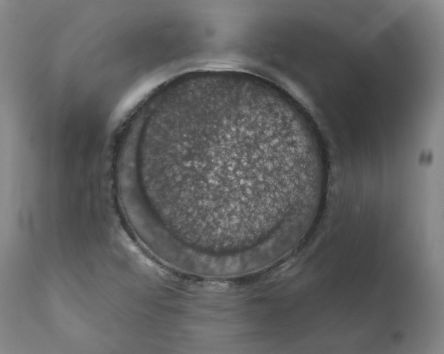 X0000110701456200907101209