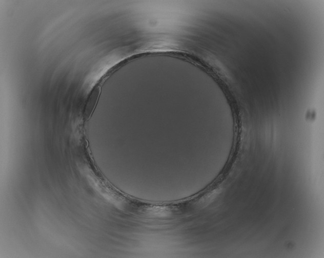 X0000110701457200907101209