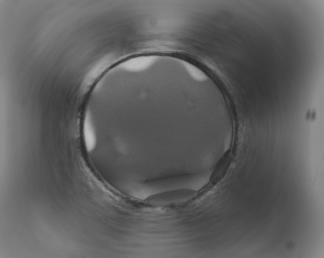 X0000110701459200907101209