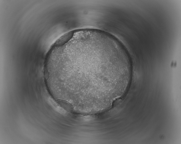 X0000110701460200907101209