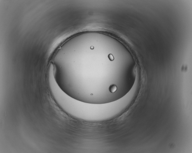 X0000110701461200907101209