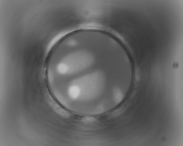 X0000110701462200907101209
