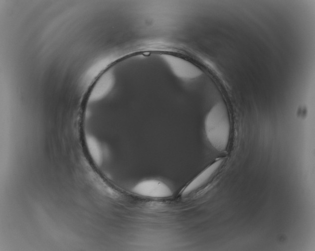 X0000110701463200907101209