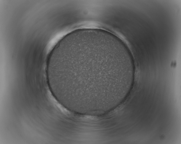 X0000110701464200907101209