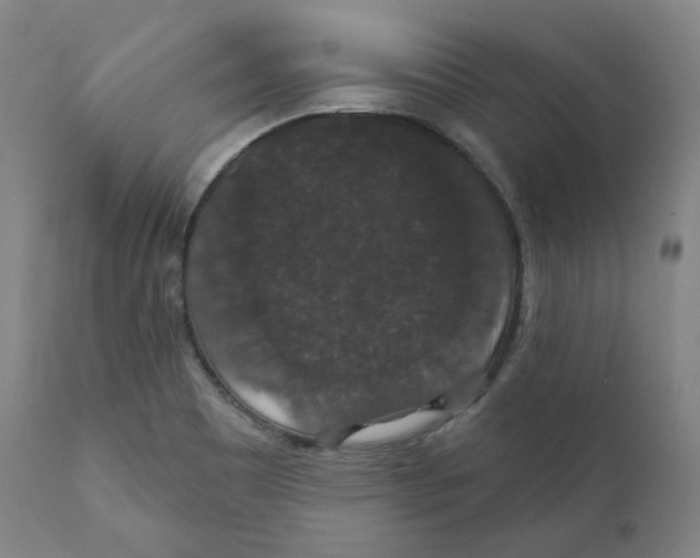 X0000110701465200907101209
