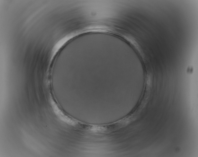 X0000110701466200907101209