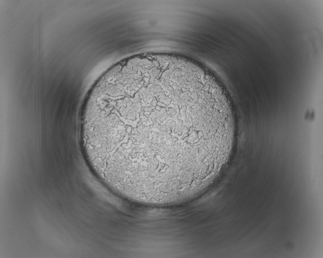 X0000110701467200907101209