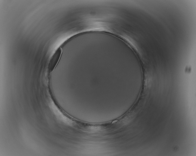 X0000110701468200907101209