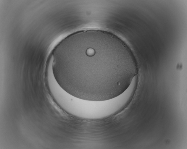 X0000110701469200907101209