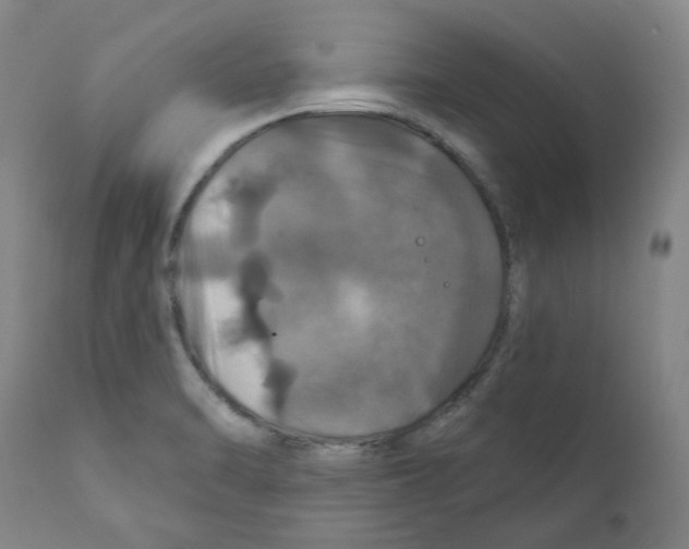 X0000110701470200907101209