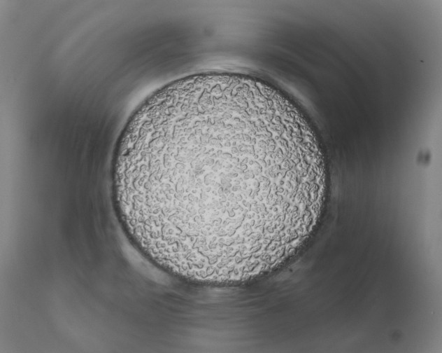 X0000110701471200907101209