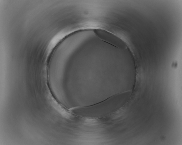 X0000110701472200907101209