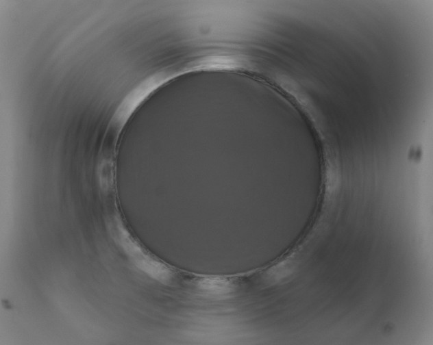 X0000110701473200907101209