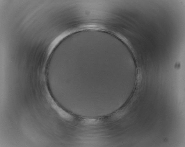X0000110701474200907101209