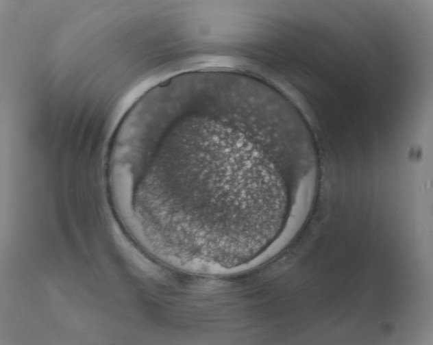 X0000110701475200907101209