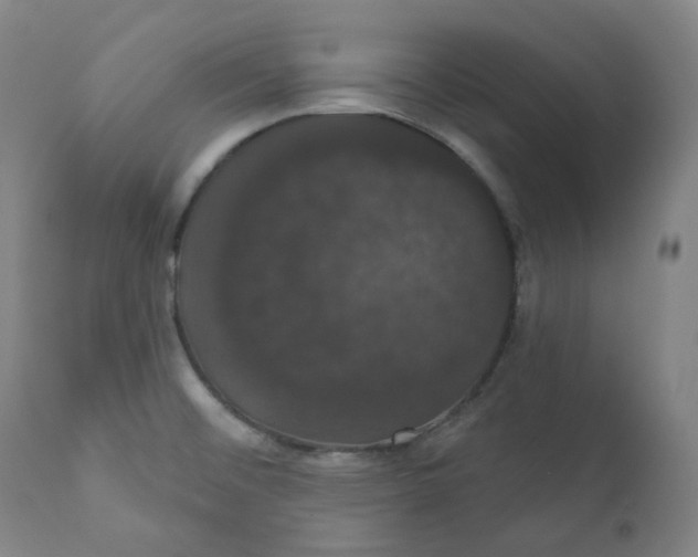X0000110701476200907101209