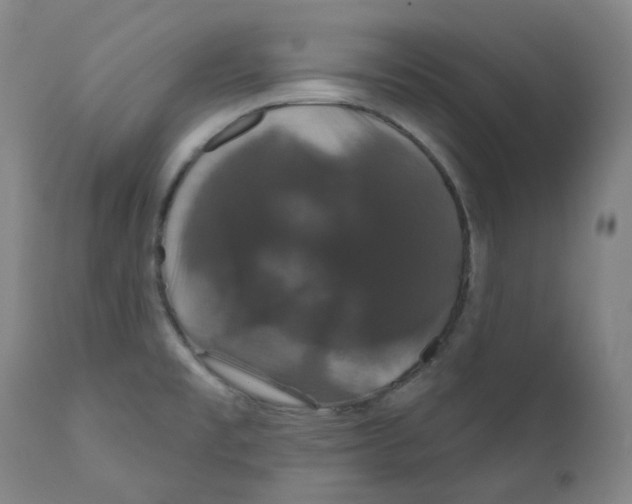 X0000110701477200907101209
