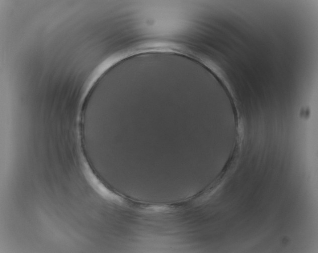 X0000110701482200907101209