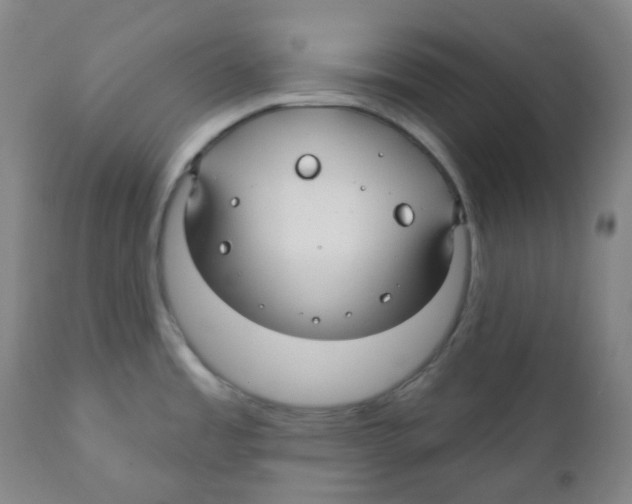 X0000110701485200907101209