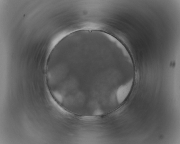 X0000110701487200907101209