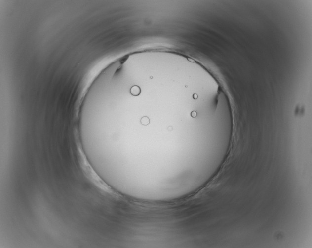 X0000110701488200907101209
