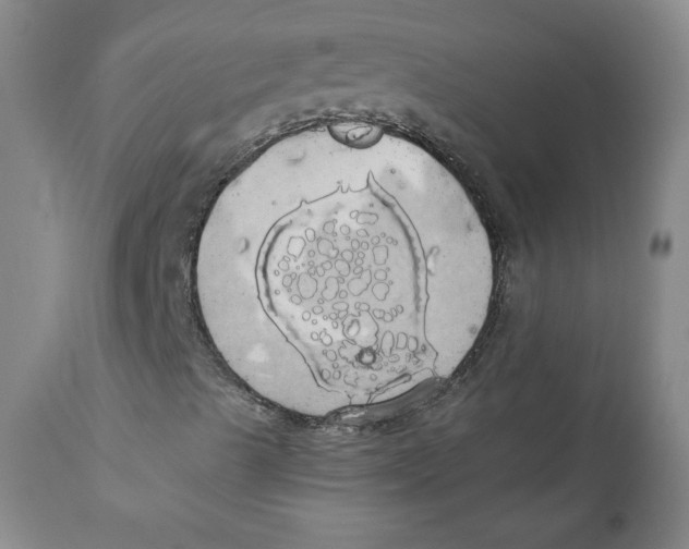X0000110701489200907101208