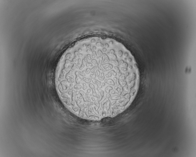 X0000110701490200907101208