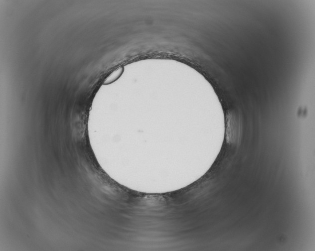 X0000110701491200907101208