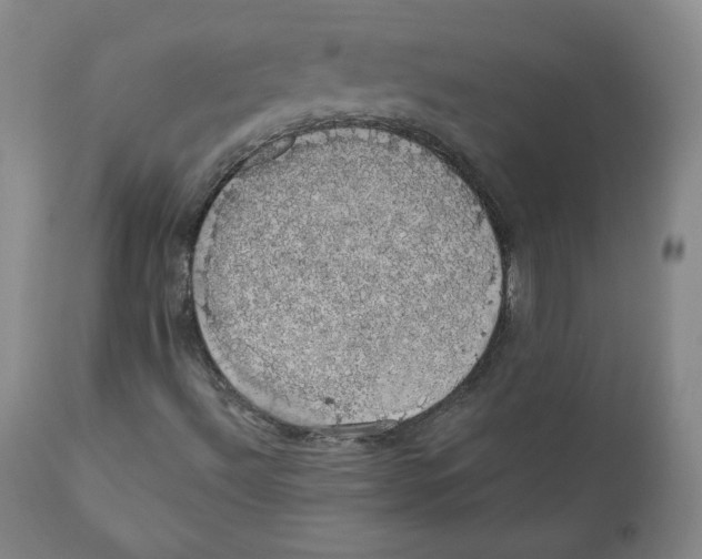 X0000110701492200907101208