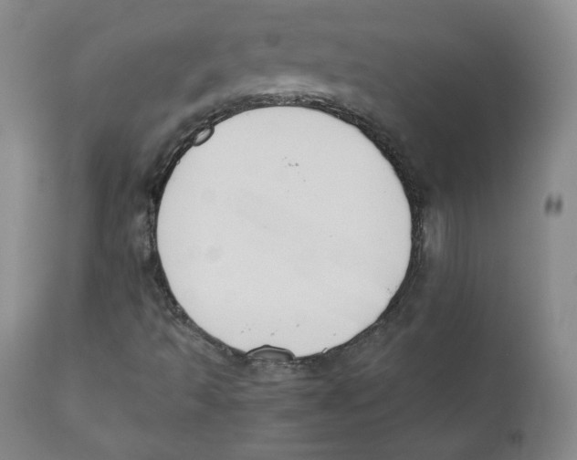 X0000110701493200907101208