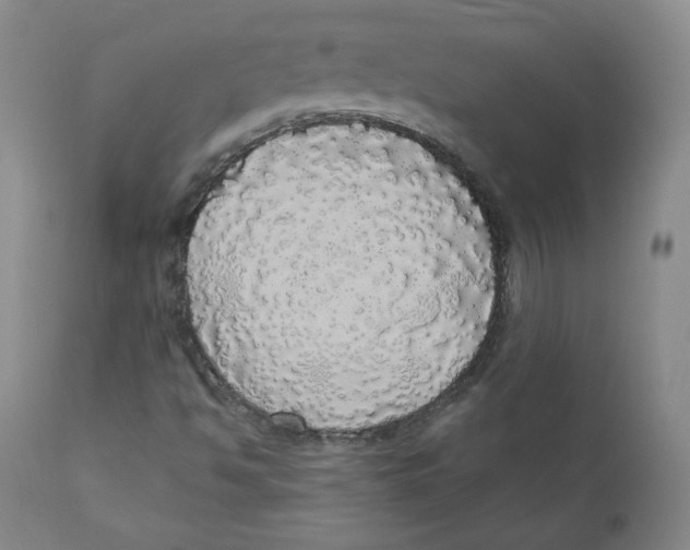 X0000110701494200907101208