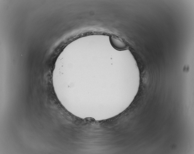 X0000110701495200907101208