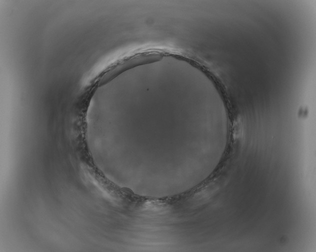 X0000110701496200907101208