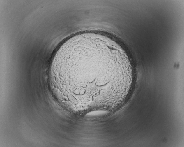 X0000110701497200907101208