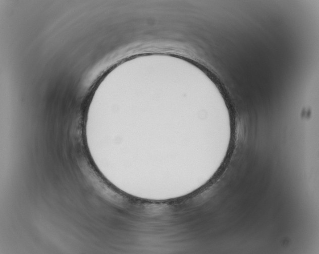 X0000110701498200907101208