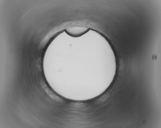 X0000110701499200907101208