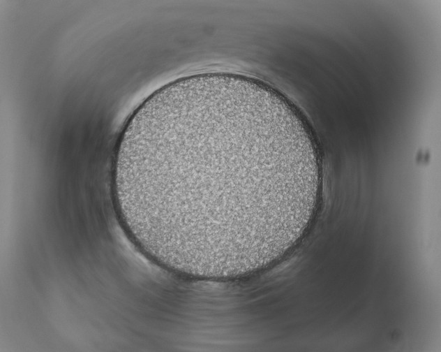 X0000110701500200907101208
