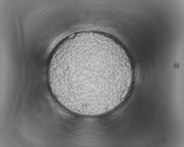 X0000110701501200907101208