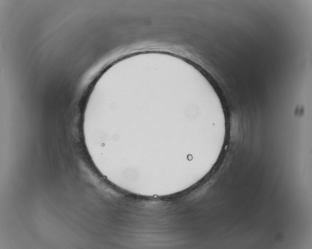 X0000110701502200907101208