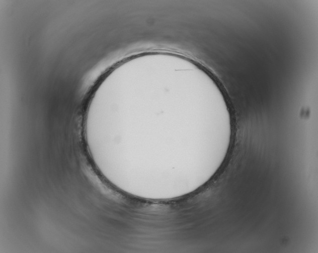 X0000110701503200907101208