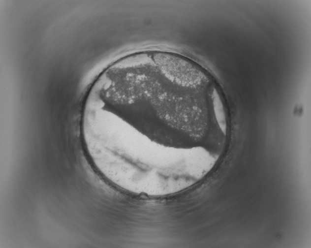 X0000110701504200907101208